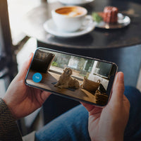 Blink - Mini Indoor 1080p Wireless Security Camera (2-Pack) - Black